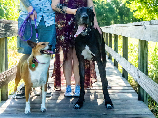 How to Book a Quick Candids Session: A Simple, Step-by-Step Guide